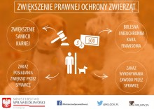 Rząd przyjął projekt ustawy wymierzonej przeciwko bestialskiemu traktowaniu zwierząt