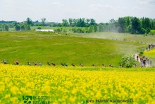 Kolarstwo. Tytuły i medale suwalczan w Maratonie Kresowym MTB po Mazurach Garbatych [zdjęcia]