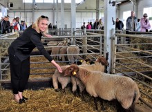 Rolnictwo. Litewscy rolnicy próbują zarabiać na hodowli owiec, indyków czy uprawie amarantusa
