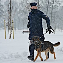 Suwałki. Sześciolatek wyszedł sam z domu. Szukano go koło zalewu Arkadia