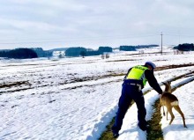 Gmina Jeleniewo. Policjanci pomogli sarnie