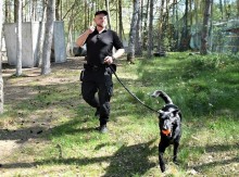 Pies specjalny Zawisza z Aresztu Śledczego w Suwałkach na podium ogólnopolskich zawodów