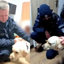 Augustów. Policjanci pomogli niewidomej kobiecie odnaleźć psa przewodnika