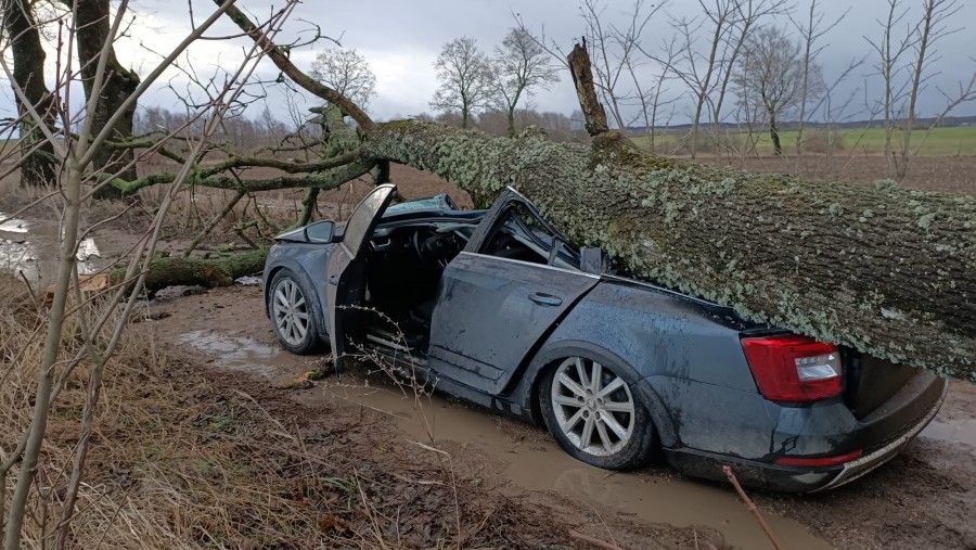 Wiatr powoduje zniszczenia w całym regionie. Konar spadł na auto, którym jechała kobieta