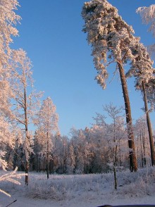 Konkurs Fotograficzny pt. Zimowy krajobraz Gminy Szypliszki