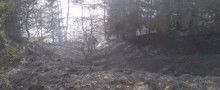 Pożar skarpy nad Rospudą. Druhowie uratowali las [zdjęcia]