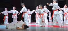 Gala karate. Szkoda, że tylko raz na pięć lat [wideo i zdjęcia]