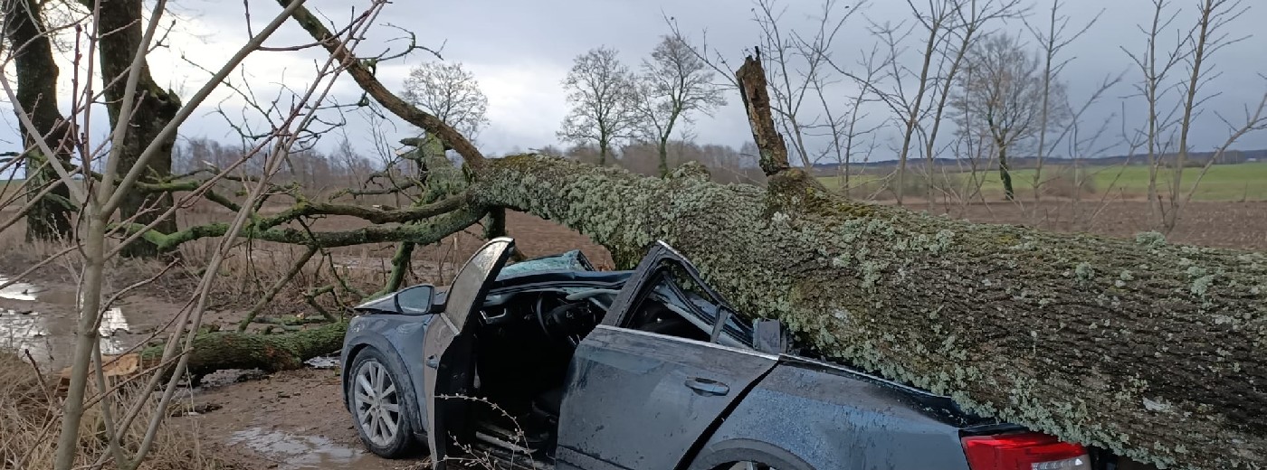 Wiatr powoduje zniszczenia w całym regionie. Konar spadł na auto, którym jechała kobieta