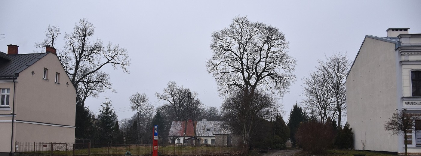 Łakome kąski nad Czarną Hańczą w centrum Suwałk. Miasto sprzedaje działki [zdjęcia]